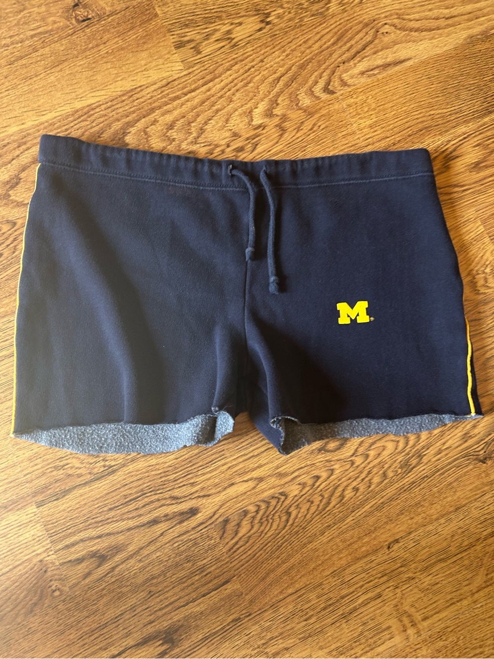 Vintage Steve & Barry's Michigan Shorts